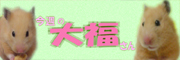 今週の大福さん